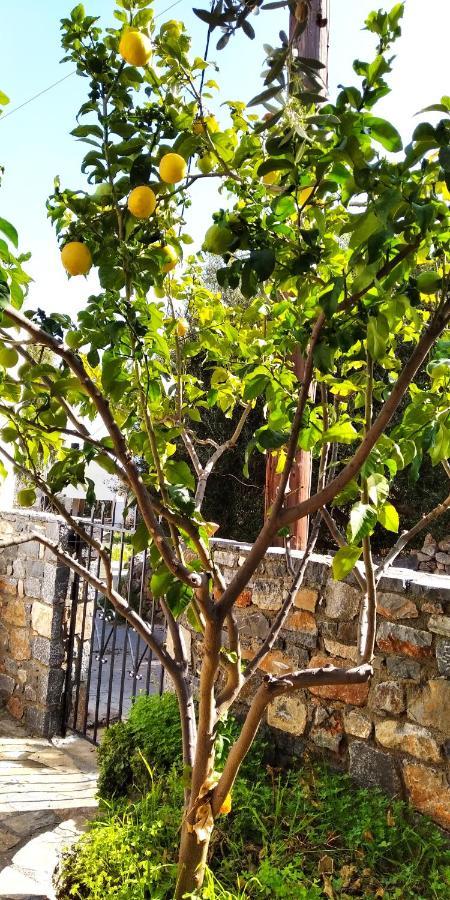 Traditional House In Elounda ภายนอก รูปภาพ